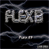 Thumbnail for the Flexb - Flex link, provided by host site