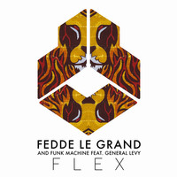Thumbnail for the Fedde Le Grand - Flex link, provided by host site