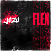 Thumbnail for the Jozo - Flex link, provided by host site