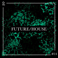 Thumbnail for the Fedde Le Grand - Flex - Extended Mix link, provided by host site