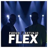 Thumbnail for the Fuego - Flex link, provided by host site