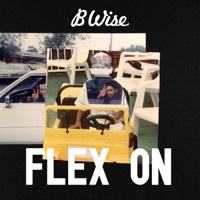 Thumbnail for the B Wise - Flex On link, provided by host site