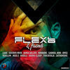 Thumbnail for the Flexb - FlexB & Friends link, provided by host site