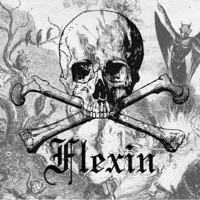 Thumbnail for the Calcium - Flexin link, provided by host site