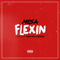 Thumbnail for the Mesa - Flexin link, provided by host site