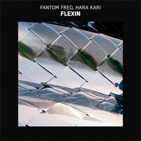 Thumbnail for the Fantom Freq - Flexin link, provided by host site