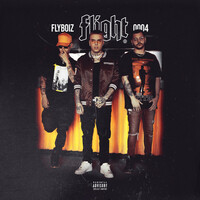 Thumbnail for the Flyboiz - Flight 0004 link, provided by host site