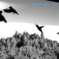 Thumbnail for the Ross Hammond - Flight link, provided by host site