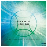 Thumbnail for the Bee Hunter - Flight to Dublin (Proglifter Remix) link, provided by host site