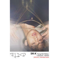 Thumbnail for the Sik-K - Flip link, provided by host site