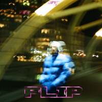 Thumbnail for the Ary - Flip link, provided by host site