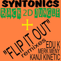Image of Syntonics linking to their artist page due to link from them being at the top of the main table on this page