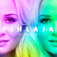 Thumbnail for the Pihlaja - Flippaan link, provided by host site