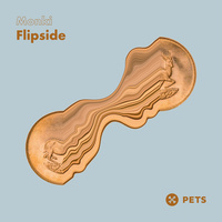 Thumbnail for the Monki - Flipside link, provided by host site