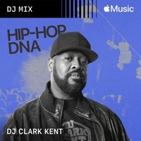 Image of Beanie Sigel linking to their artist page due to link from them being at the top of the main table on this page