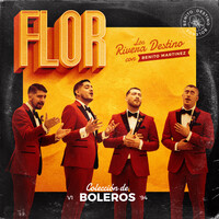 Thumbnail for the Los Rivera Destino - Flor link, provided by host site