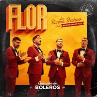 Thumbnail for the Los Rivera Destino - Flor link, provided by host site