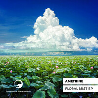 Thumbnail for the Ametrine - Floral Mist link, provided by host site