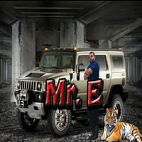 Thumbnail for the Mr. E - Flores link, provided by host site