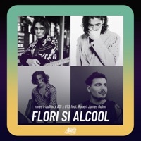 Thumbnail for the Rares - Flori și alcool link, provided by host site