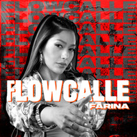 Thumbnail for the Farina - Flow Calle link, provided by host site