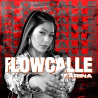 Thumbnail for the Farina - Flow Calle link, provided by host site