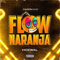 Thumbnail for the Hozwal - Flow Naranja link, provided by host site