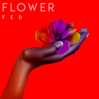 Thumbnail for the Fed - Flower link, provided by host site