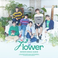 Thumbnail for the Infinite - Flower link, provided by host site