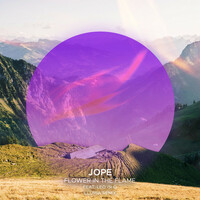 Thumbnail for the Jope - Flower In The Flame (Illumia Remix) link, provided by host site