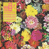 Thumbnail for the Ra Ra Riot - Flowers link, provided by host site