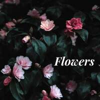 Thumbnail for the Onething - Flowers link, provided by host site