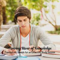 Thumbnail for the Relaxation Study Music - Flowing River of Knowledge: Tuning Fork Sounds for an Effective Study Session link, provided by host site