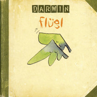 Image of Darwin linking to their artist page due to link from them being at the top of the main table on this page