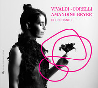 Thumbnail for the Antonio Vivaldi - Flute Concerto in A Minor, RV 440: I. Allegro non molto link, provided by host site
