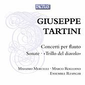 Thumbnail for the Massimo Mercelli - Flute Concerto in D Major, Gimo 291: III. Allegro link, provided by host site