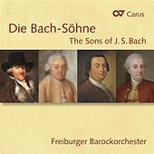Thumbnail for the Karl Kaiser - Flute Concerto in D Major, W. C79: II. Larghetto link, provided by host site