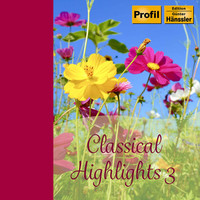 Thumbnail for the Antonio Vivaldi - Flute Concerto in F Major, Op. 10 No. 1, RV 433 "La tempesta di mare" link, provided by host site
