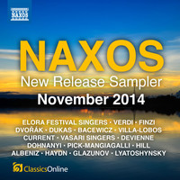 Thumbnail for the Francois Devienne - Flute Concerto No. 2 in D Major: II. Adagio link, provided by host site