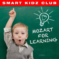 Thumbnail for the Wiener Mozart Ensemble - Flute Concerto No. 2 in D Major, K. 314: II. Adagio Ma Non Troppo link, provided by host site