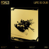 Thumbnail for the Foals - Flutter (Dan Carey Dub) link, provided by host site