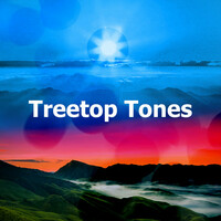 Thumbnail for the Calming Sounds - Fluttering Tide link, provided by host site