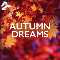 Thumbnail for the David Arkenstone - Flutterings From The Autumn Trees link, provided by host site