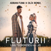 Thumbnail for the Liviu Teodorescu - Fluturii (Adrian Funk & OLiX Remix) link, provided by host site