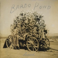 Image of Bardo Pond linking to their artist page due to link from them being at the top of the main table on this page