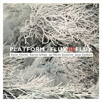 Thumbnail for the Platform - Flux Reflux link, provided by host site