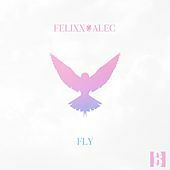 Thumbnail for the Felixx - Fly link, provided by host site