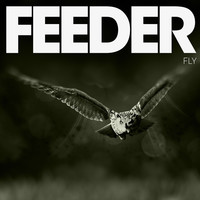 Thumbnail for the Feeder - Fly link, provided by host site