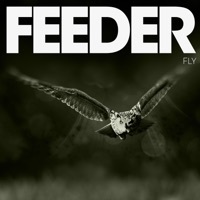 Thumbnail for the Feeder - Fly link, provided by host site