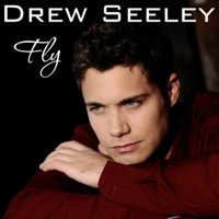 Thumbnail for the Drew Seeley - Fly link, provided by host site